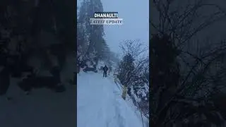 Dhanaulti Snowfall 2022❄ #dhanaulti #dhanaultisnowfall #uttarakhand #shorts #snowfall