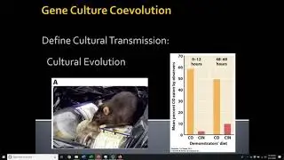 4.4.3 Coevolution and Complex Interactions
