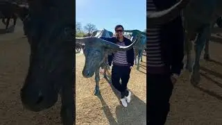 USA Road Trip | Coming Soon | Atlanta to Nashville | 8 states in 10 days |Tabish Iqbal | Travel Vlog