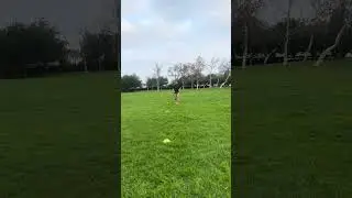 Jog to Deceleration Split Stance