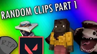 Just a Random assortment of clips! | Random Games -Funny Moments-