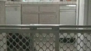Chihuahua Prison Escape