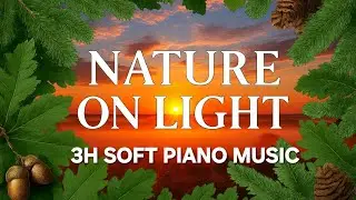 NATURE ON LIGHT 3H SOFT PIANO MUSIC