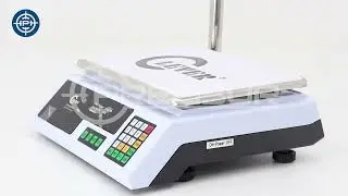 Balanza Econ&oacute;mica Clever Professional T de 30 Kilos