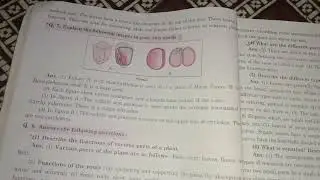 Std 7th Science navneet digest || Lesson no 2 || Book magic 📚|| Hadiya Iram ✨..