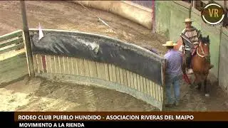 MOVIMIENTO A LA RIENDA - CLUB PUEBLO HUNDIDO - ASOCIACION RIVERAS DEL MAIPO