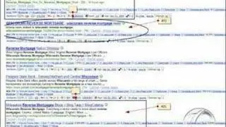 Milwaukee SEO Results