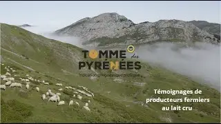 La filière Tomme des Pyrénées IGP au lait cru
