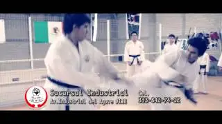 Sucursal  Industrial