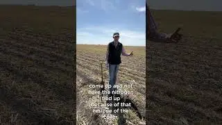 How we manage cover crops going into corn on the research farm.