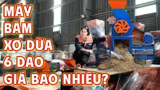 Máy Băm Xơ Dừa 6 Dao có Giá Bao Nhiêu? Máy Băm Xơ Dừa B250 Bình Quân
