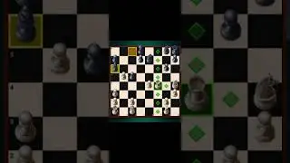 basic chess moves