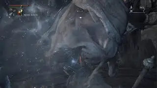 Bloodborne A Struggle Of Hunter