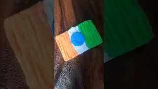 DIY indian flag hair clip#independenceday#🇮🇳#shorts#diy#superclay