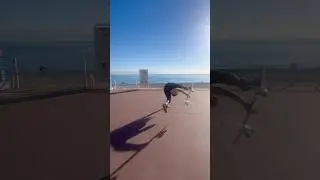 What even is this trick #cotedazurfrance #skateboarding #skateclips #sunsetsession #ytshorts #sunset
