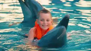 Amazing Dolphins in Action 🐬  Smart & Playful Ocean