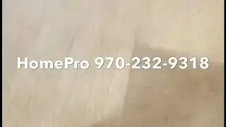 Carpet Cleaning with HomePro Carpet, Tile & Upholstery in Fort Collins, CO