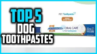 ✅Top 5 Best Dog Toothpastes in 2026