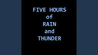 The Storm Begins