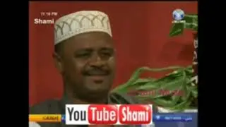 أمجد الشاطرابي    -  شتيلة قريرة