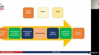 Unani system of medicine