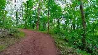 Japanese Garden, Nagpur