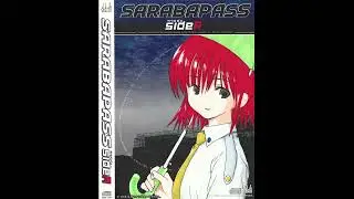 debris* &ndash; Sarabapass SideA BGM #24