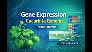 How to Retrieve and Analyze Gene Expression Data Using  Cucurbita Genome |Transcriptomics Tutorial