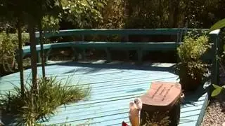 Add Color to Your Garden - Joni Hilton