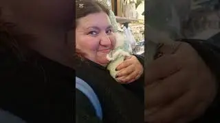 NATALE 2025 | Mercatini di natale a Verona 