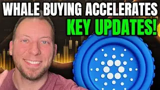 CARDANO ADA - WHALE BUYING ACCELERATES!!! KEY UPDATES!
