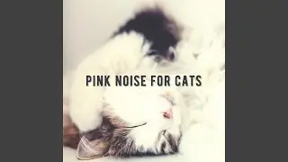 Cat Nip Pink Noise