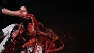 gore raw footage fun