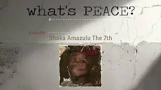 The JUSE - what's PEACE? [produced by Shaka Amazulu the 7th]