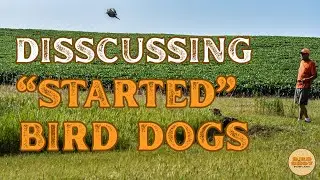 #329 | A discussion on started dogs, training, bird hunting and more with Mark Dinsmore