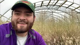 Identifying and managing pest pressure
