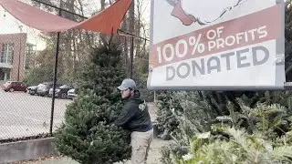 Atlanta Christmas trees help fund college scholarships