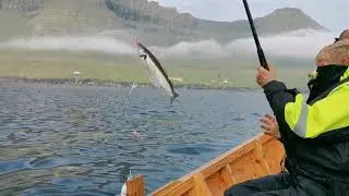 Sea angling in the Faroe Islands.