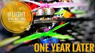 Обзор двигателя iFlight Xing 2207 2306 год спустя #iflight #xing #xingmotors