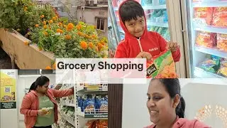 Our Beautiful Terrace Garden || Back From Home And Hit The Stores