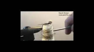 MarchBrown