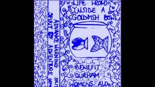 ADVANCE WARNING : 1986 Demo : UK Punk Demos