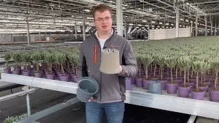 Vitelia Agrocultuur - Duurzame productvideo Potten Trays