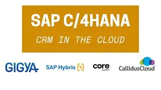 SAP CRM Cloud | Также известно как SAP Customer Experience Solutions (CX)