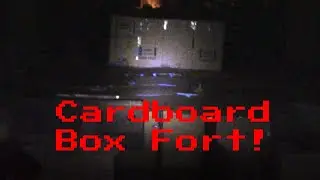 Two Story Cardboard Box Fort!