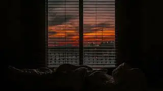 you fell asleep listening to vinyl records (slowed + reverb + vinyl emulation) | a playlist
