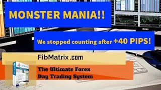 Monster Mania! +40 Pips! FibMatrix VTA Fully Automated Forex Scalping Software Performance Results