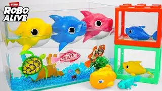 Satisfying Unboxing ZURU Robo Aquarium Playset ASMR 🐠🦈🐙 ZURU 로보 아쿠아리움 플레이세트 ASMR 🐟 Review Toy