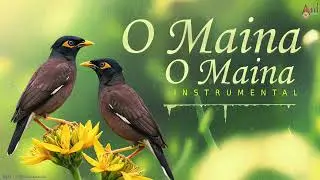 O Maina O Maina | Carnatic Classical Instrumental | Praveen Godkhindi | Flute Instrumental