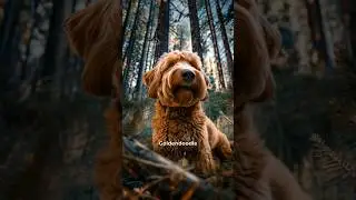 Unbelievable K9 Survival Stories: Courage Under Fire #K9Survival #DogHeroes #AmazingAnimals